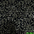 Zari Sequins Georgette Fabric-F2789